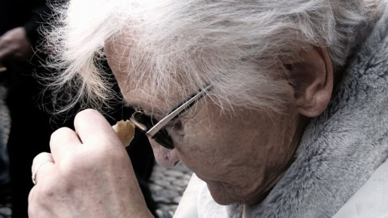 Snapshot of ZANE Beneficiaries