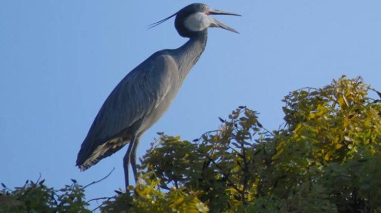 The Threads That Connect Us