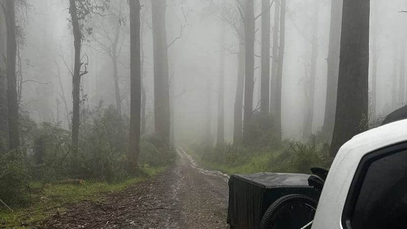 Yarra Mist